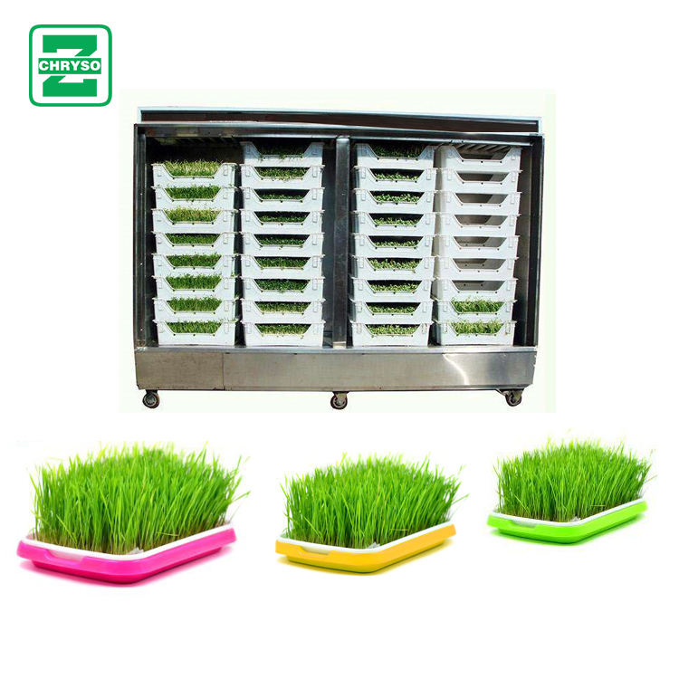 500kg Output Alfalfa Sprouting Machine Commercial Sprout Equipment Buy Alfalfa Sprouting