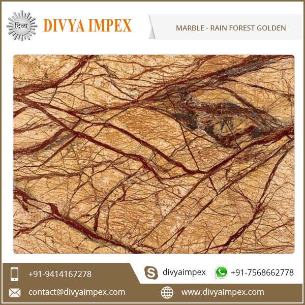 divya-impex_indian-marble_rain- forest-golden.jpg