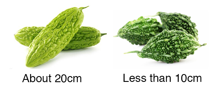 bitter-melon.jpg