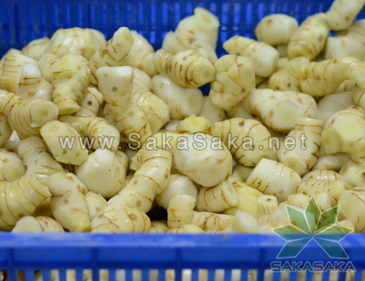frozen-galangal_02.jpg