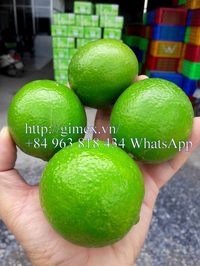 20160821_094628.jpg