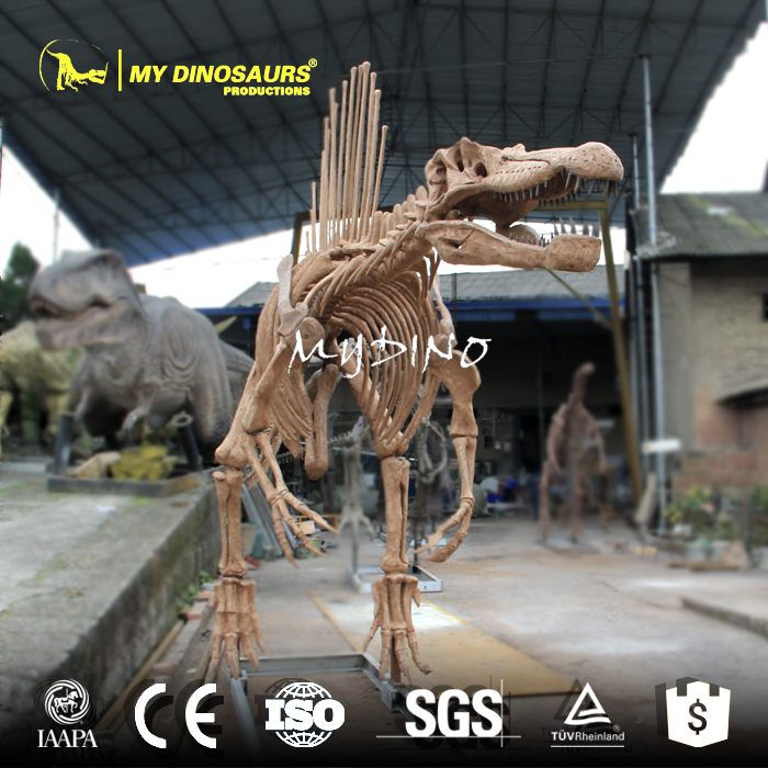 spinosaurus replica.jpg