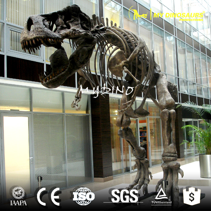 life size skeleton.jpg