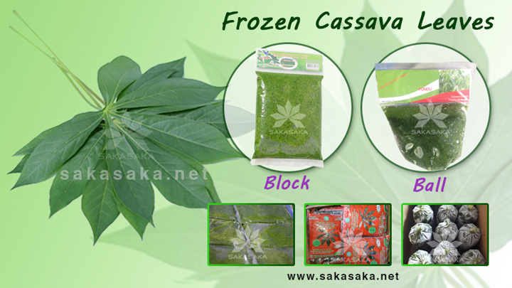 cassava-leaves-750.jpg